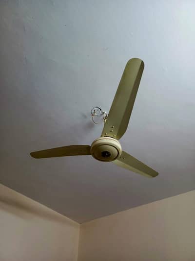 super Asia fan fan urgent sale 3 fan