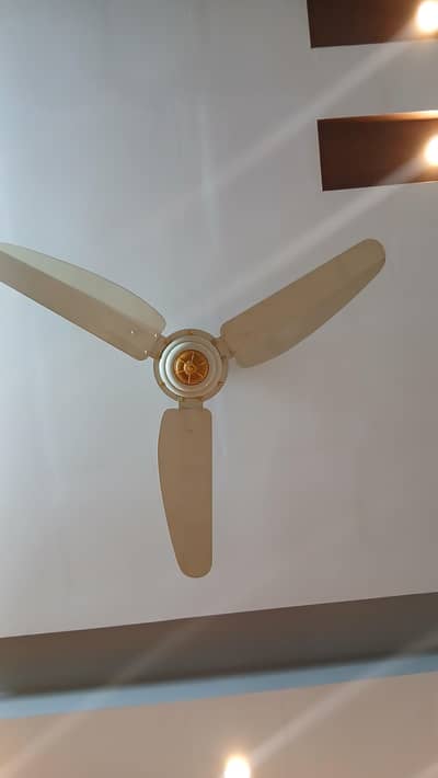 G. F. C Ceiling Fans (Fancy)