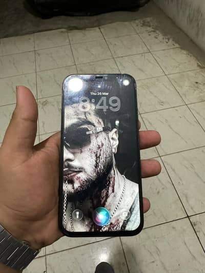 iPhone 12 Pro Max - Face ID OK - Honest Sale (Panel Issue]
