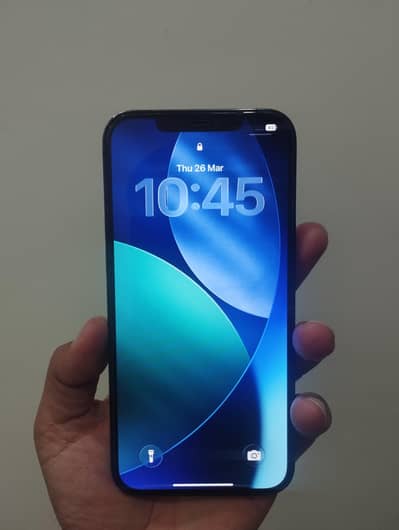 iPhone 12 pro max 10/10