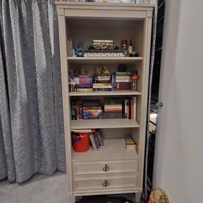 New Deco Paint Book Shelf