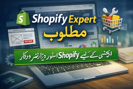 Shopify Expert Required | Shopify Store Designer Needed for Agency