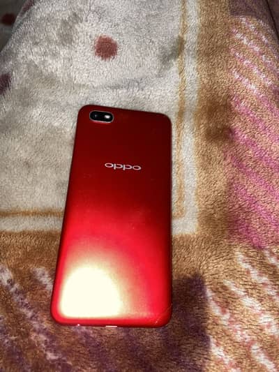 Panel crck ha baki all oki ha