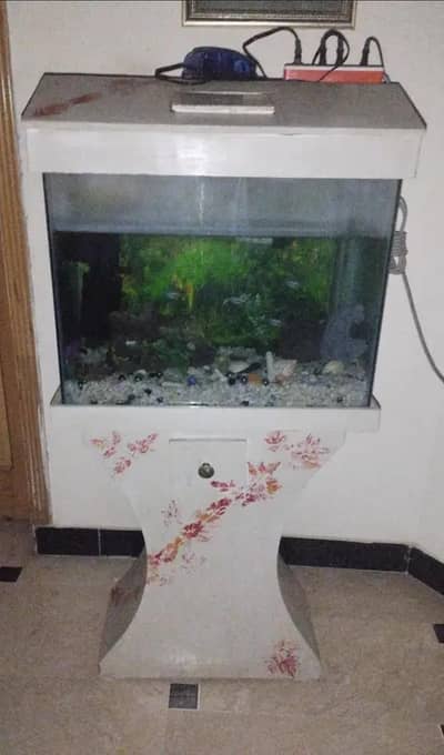 WHOLE FISH SETUP + AQUARIUM