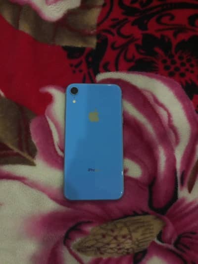 iPhone XR (Waterpack) Original
