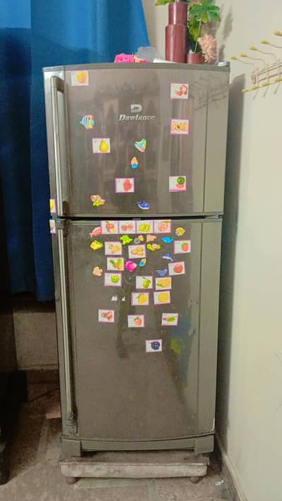 dawlnce refrigerator