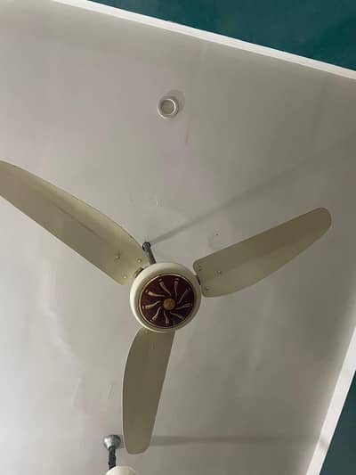 Masjid Use fan condition 10/9