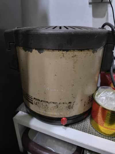 deep Fryer 3 Liters