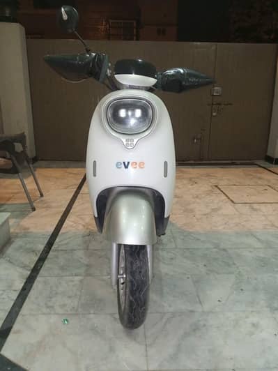 evee nisa (Dec 2024)