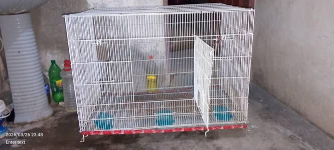 big cage for birds and pets