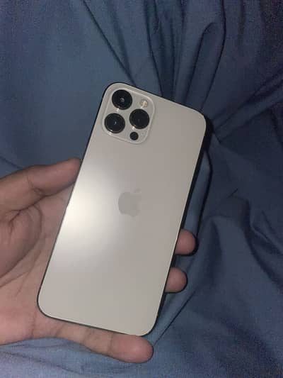 12 pro max pta approved