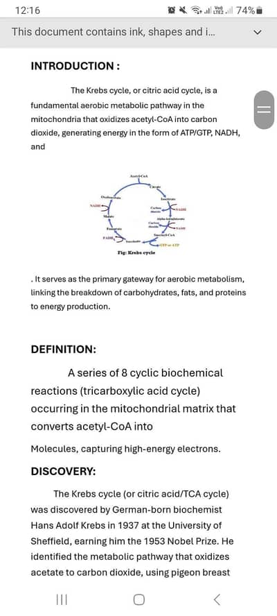 Professional Handwritten Assignments & Medical Diagrams