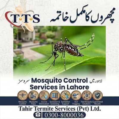 Mosquito Pest Control Fumigation Services in Lahore