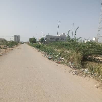 Transfer File The Project Of Pak Land Builder Plot For Sale