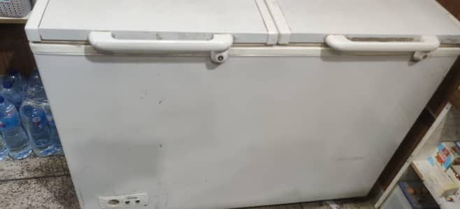 Varioline Intercool Double Door Deep Freezer