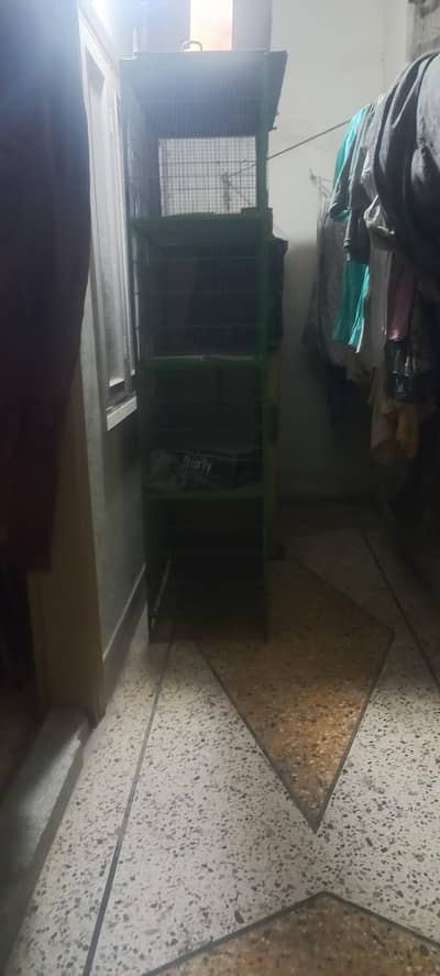 cage full size pinjra birds