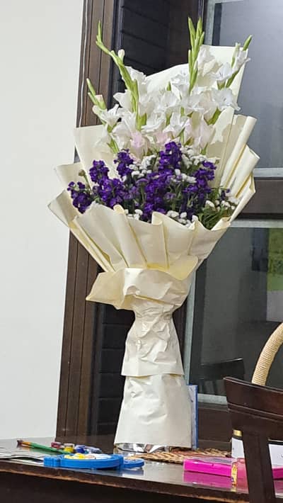 cook plus helper required