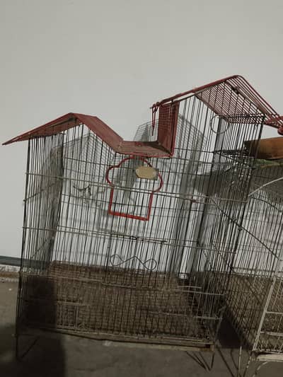 Birds cage for urgent sale