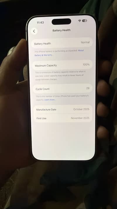 16promax jv (dessert )