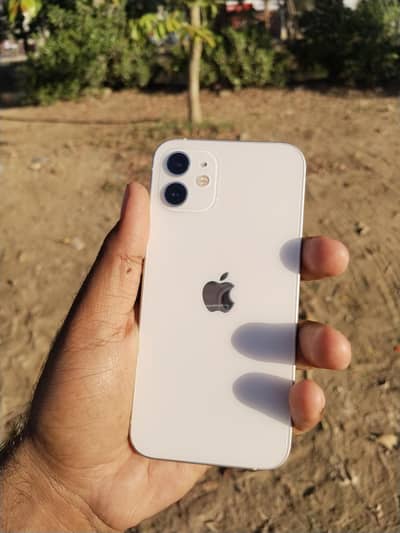 Iphone 12 PTA approved