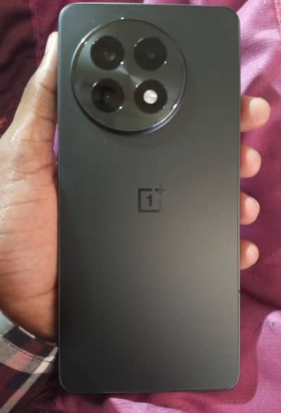 one plus 13 R 12/256