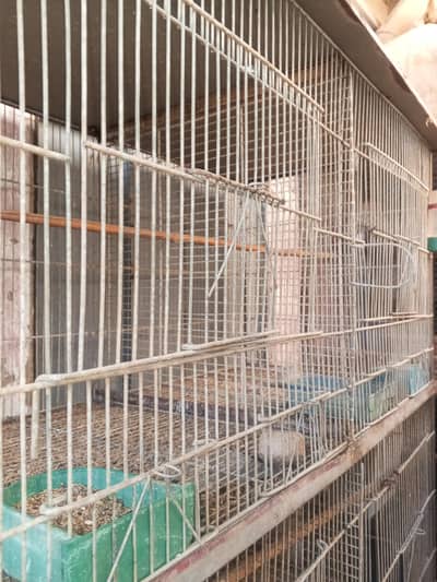 cage sale only 03142290108