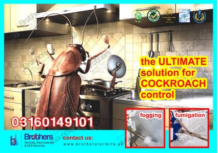 Fumigation/termite/pest control/Deemak control /cockroach spray