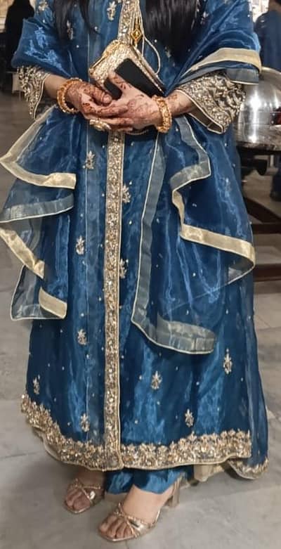 Organza Embroidered  dress