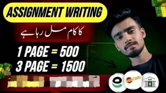 online assignment work