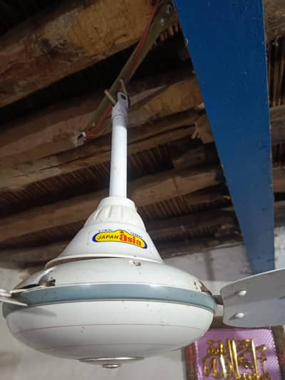 Japan Asia Fan Good Quality