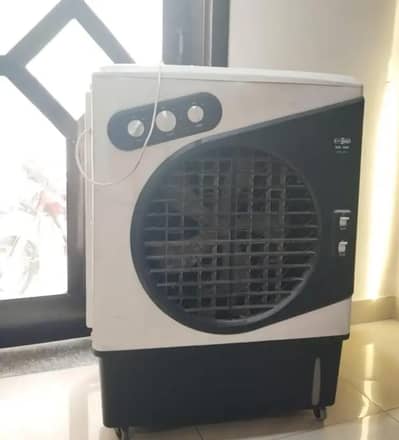 super ashia full ok ha