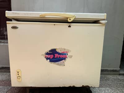 Waves Freezer Full Size Single Door