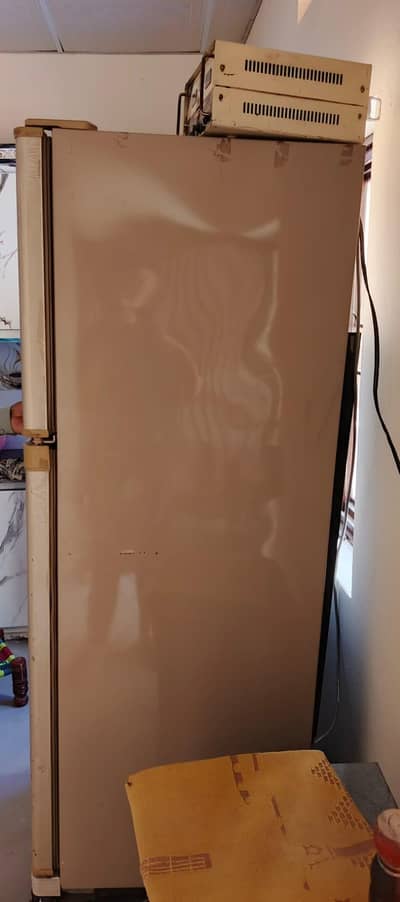 Dawlance Size Large to Medium