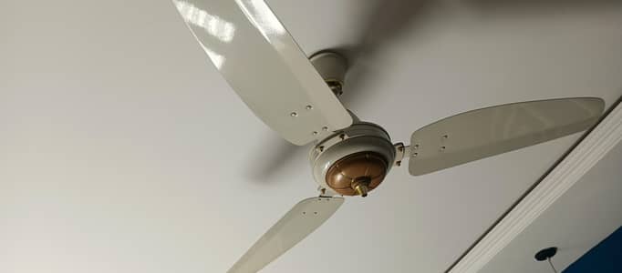 royal ceiling fan