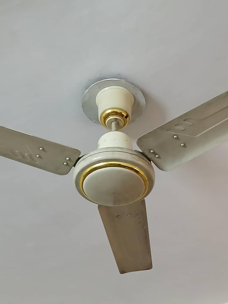 ceiling fan 1