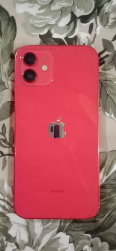 Iphone 12 (red colour)
