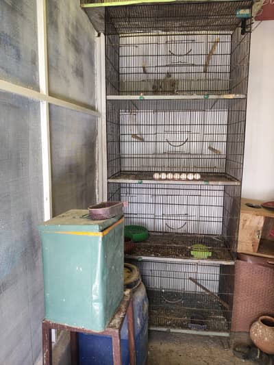 cage looking for new home