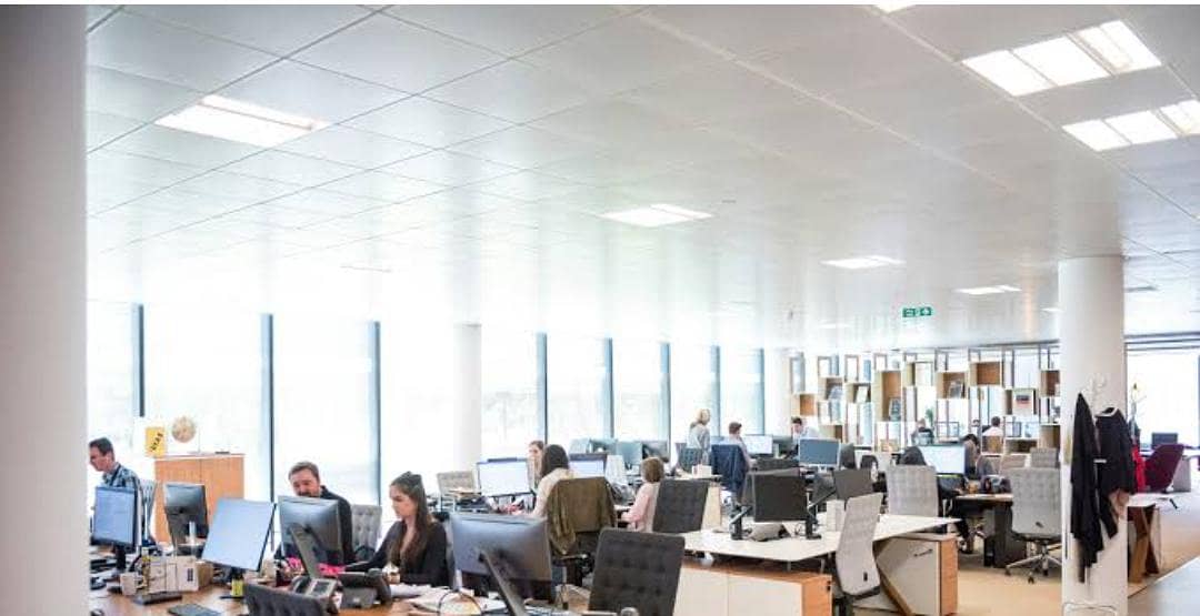 Full Stack Developer (MERN / PERN) 0