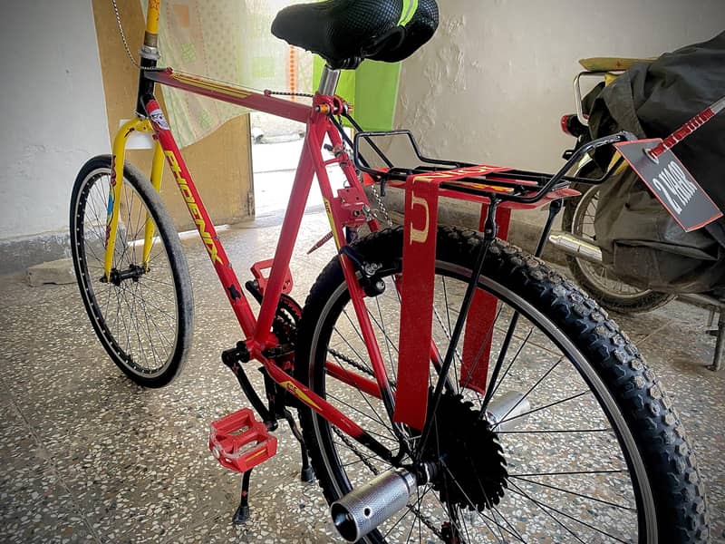 modified bicycle 1