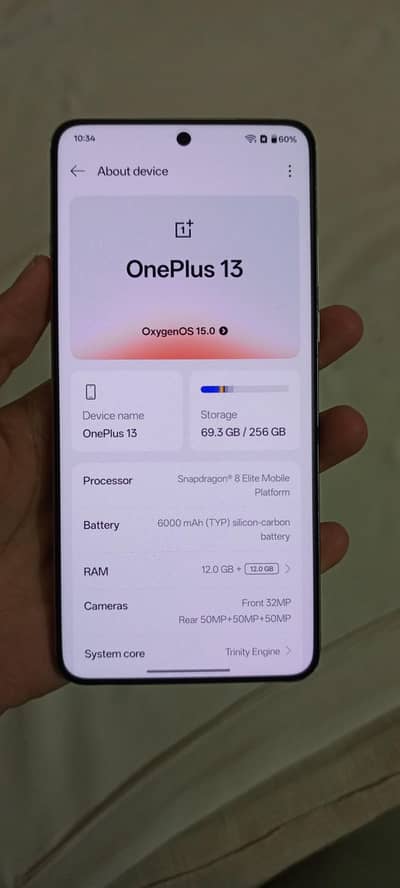 OnePlus 13 Global 12+12/256