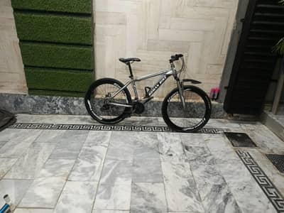 Big adult size bicycle