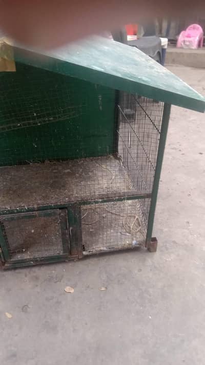 Cage for parrots for urgent sale