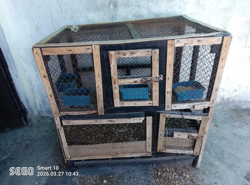 wooden cage