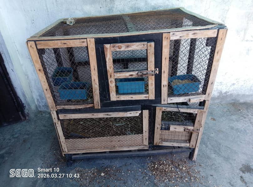 Cages 1