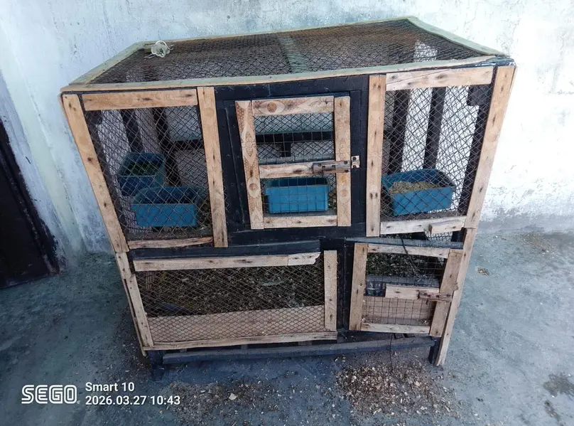 wooden cage — photo 2