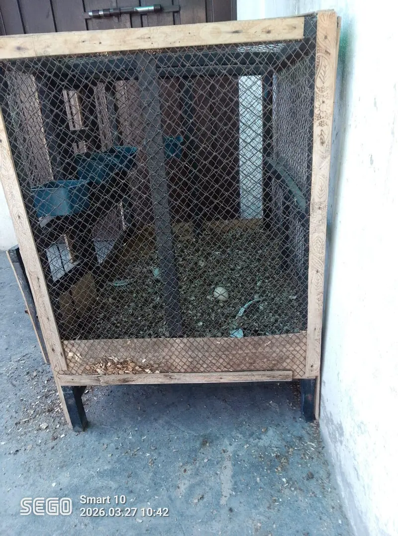 wooden cage — photo 3