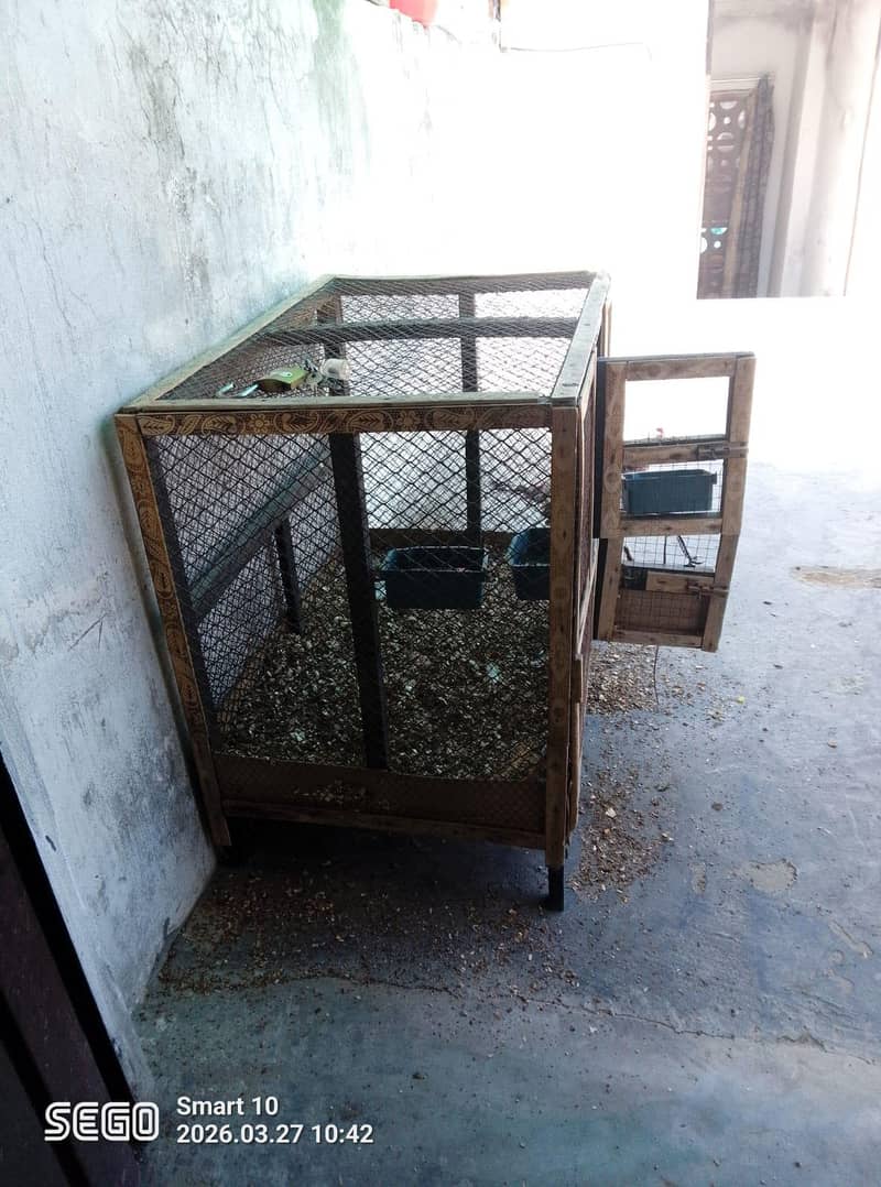Cages 3
