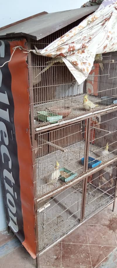 cocktail for sale urgent