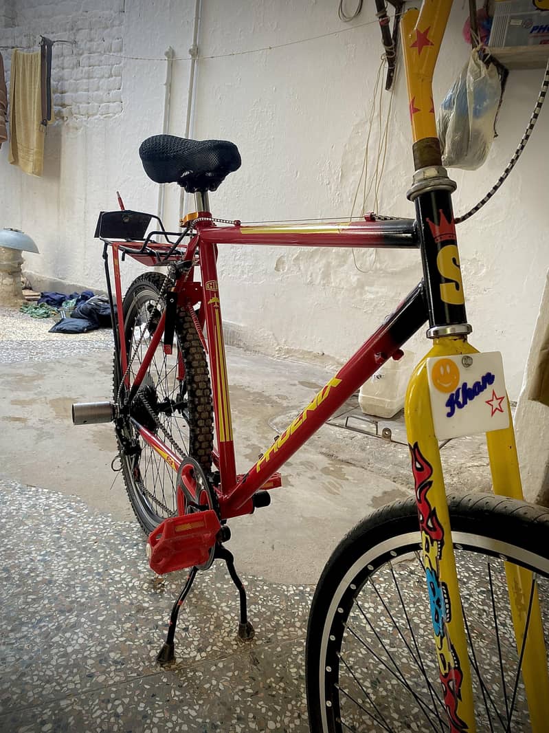 modified bicycle 2