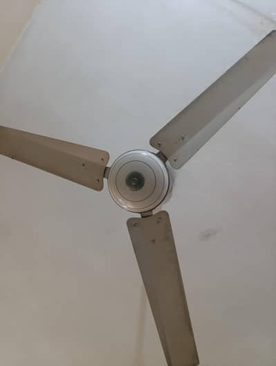 Ceiling Fans